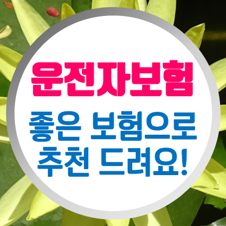 자동차운전자보험 필요성 개인 가족 운전자보험 특약 보장내용 좋은 것만 추천 드려요.