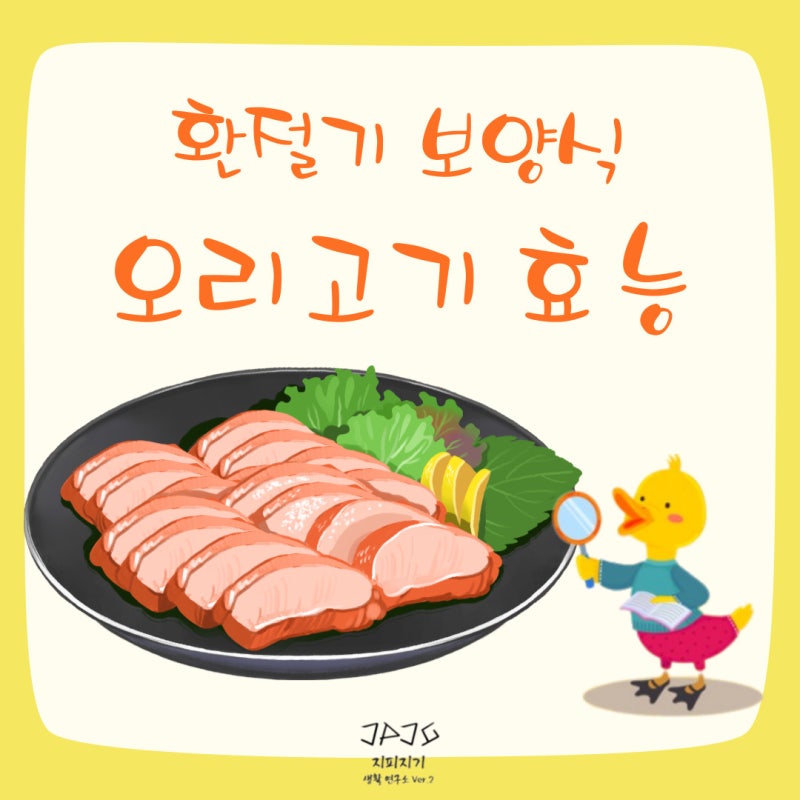기력 회복에 탁월한 보양식 오리고기 영양성분, 효능, 신선한 오리고기 고르는 법, 오리기름....