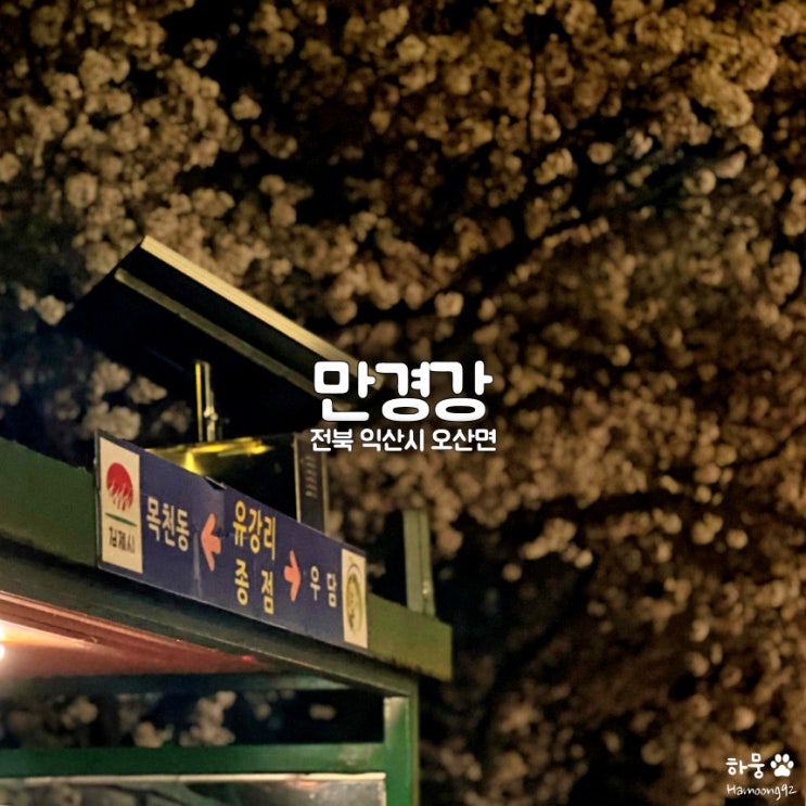  전북 익산 벚꽃명소 만경강, 벚꽃야경｜무료주차장｜대중교통｜자전거대여소