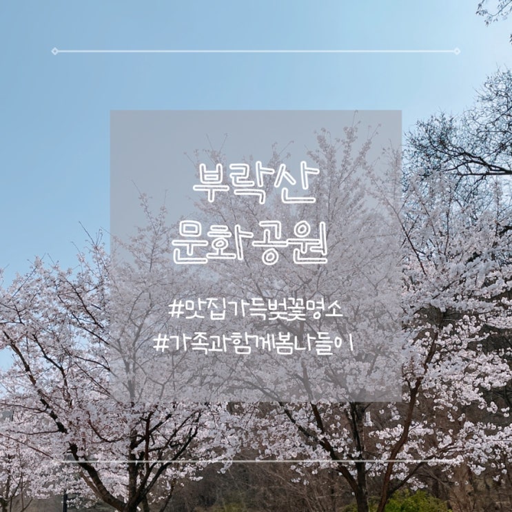 경기도 평택 부락산 문화공원 벚꽃구경 봄나들이 아이들과 가볼만한곳 추천!