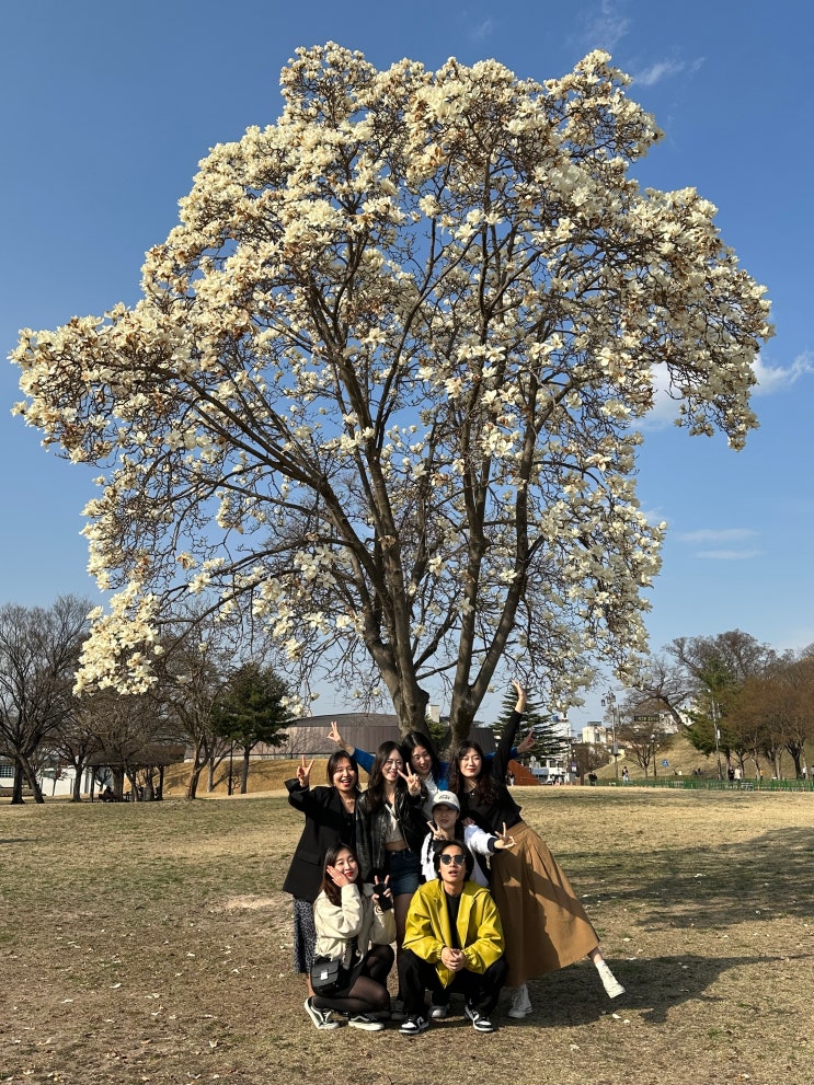[ 경주 벚꽃 여행 ] #1 경주 여행 코스, 황리단길만 알면 끝 (Feat. 첨성대, 안압지, 동궁과 월지, 10원빵, 충효닭집 등)