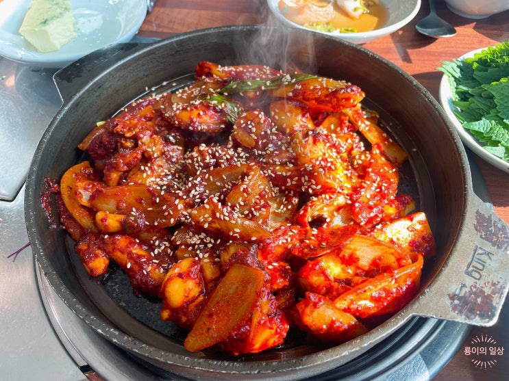  [2023.01.24] "팔공산 맛집" 조가네갑오징어 대구팔공산점
