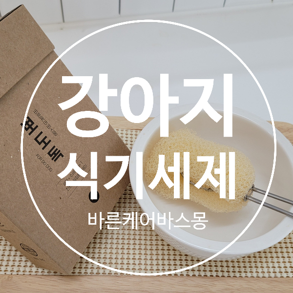  잔류세제 걱정 말고 강아지 식기 세제 '뽀도독 '하세요