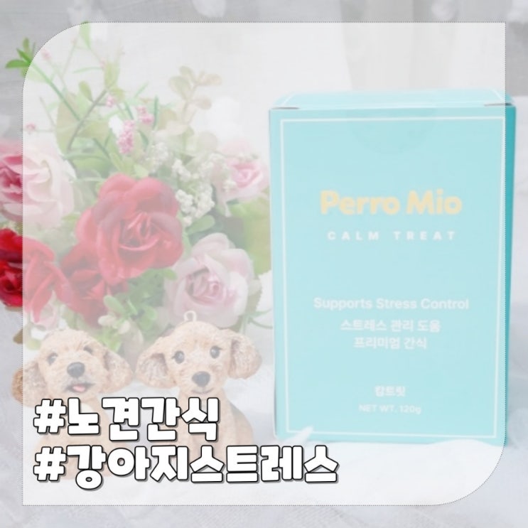  겁많은 강아지 스트레스증상 완화를 위한 노견 간식
