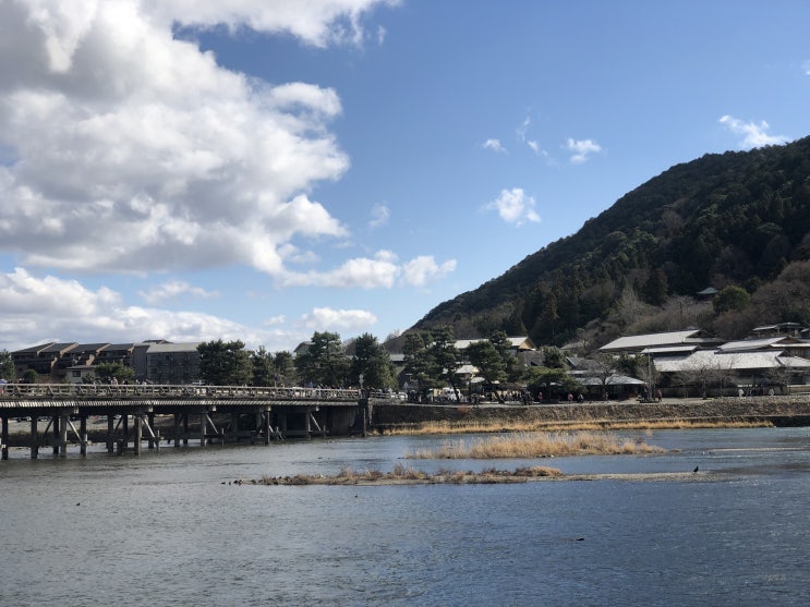 일본여행 / 교토(2023) - 도게츠교 다리, 텐류지, 아라시야마공원(대나무 숲)