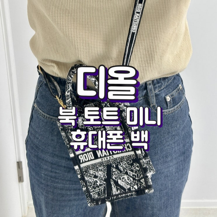  디올 북토트 미니 휴대폰 백 (파리 맵) @ 신세계 강남