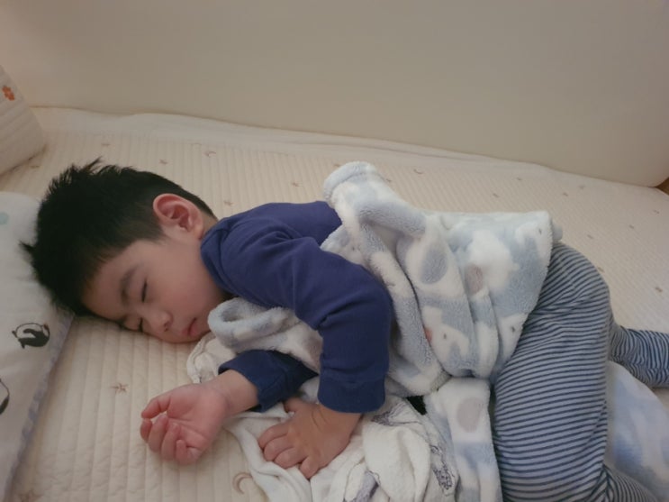  새로운 수면 자세 ㅋㅋ