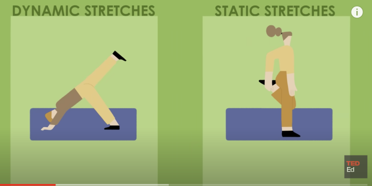 TED-ED : "스트레칭의 효과와 방법: 근육 부상 예방을 위한 비법"