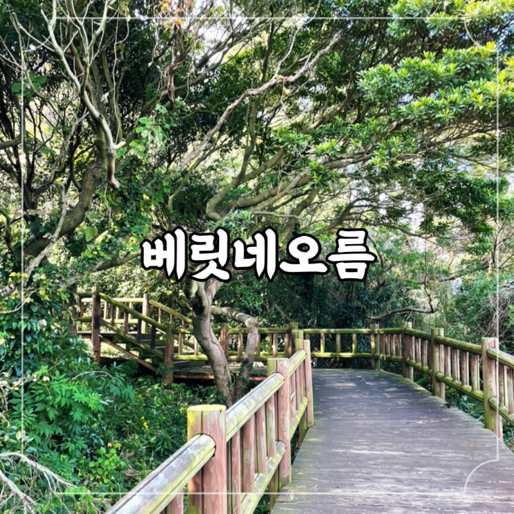  제주 중문가볼만한곳 바다를 보며 걷기 좋은 오름 추천, 베릿네오름(성천봉)