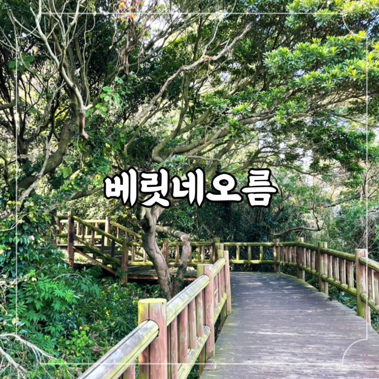 제주 중문가볼만한곳 바다를 보며 걷기 좋은 오름 추천, 베릿네오름(성천봉)