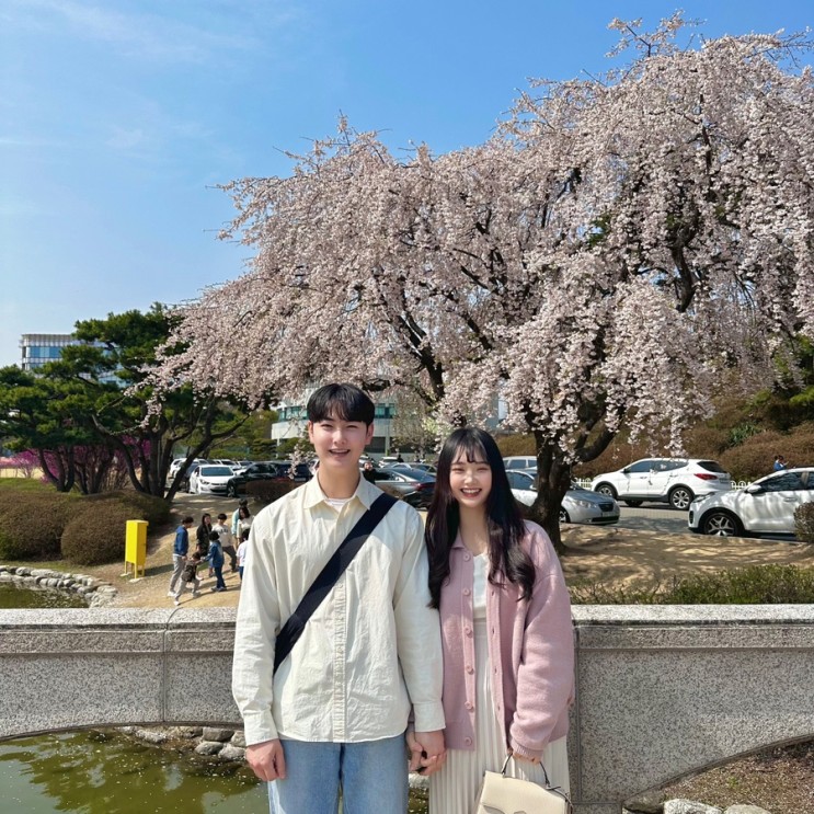 대전 벚꽃명소_카이스트