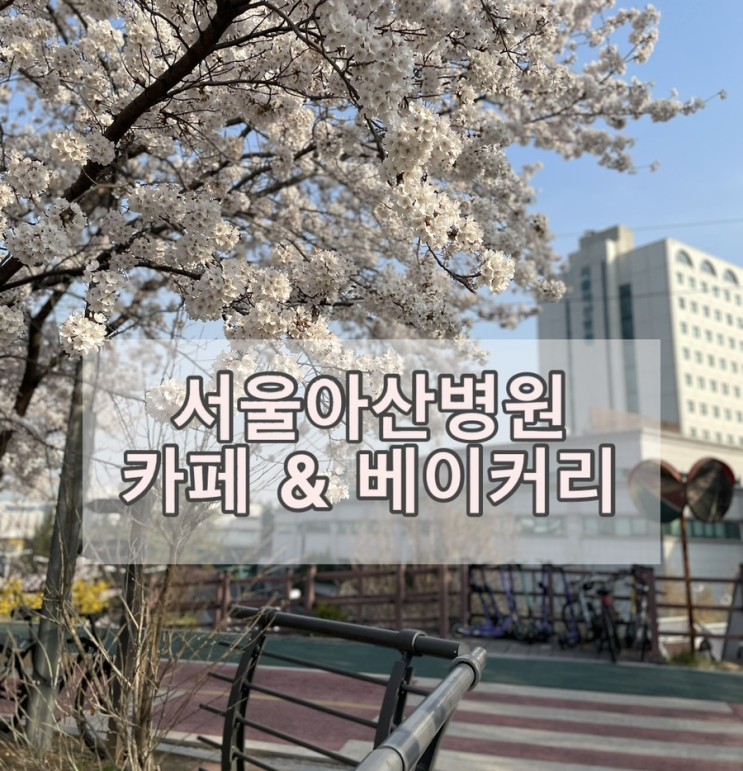 <b>서울아산병원</b> 이용하기1 - 카페와 베이커리 (베즐리 카페, 빵집... 