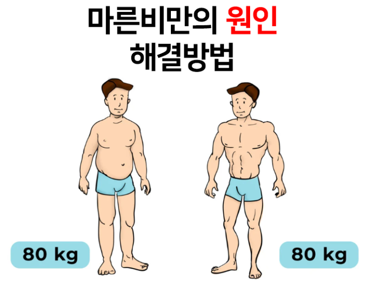  마른 비만의 원인과 해결방법