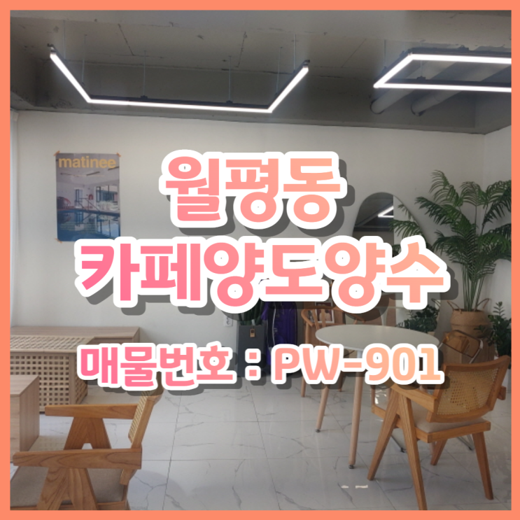  대전 월평동 역세권 신축 1층 상가 임대 매물, 카페양도양수, 소액권리금, 카페, 브런치카페 등 추