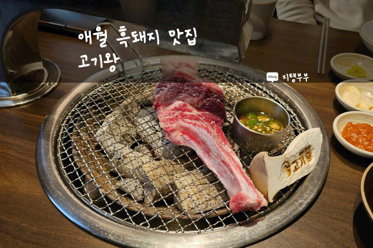 제주도 서쪽 | 애월 흑돼지 맛집 추천 육즙 팡팡 숄더랙이 맛있는 고기왕