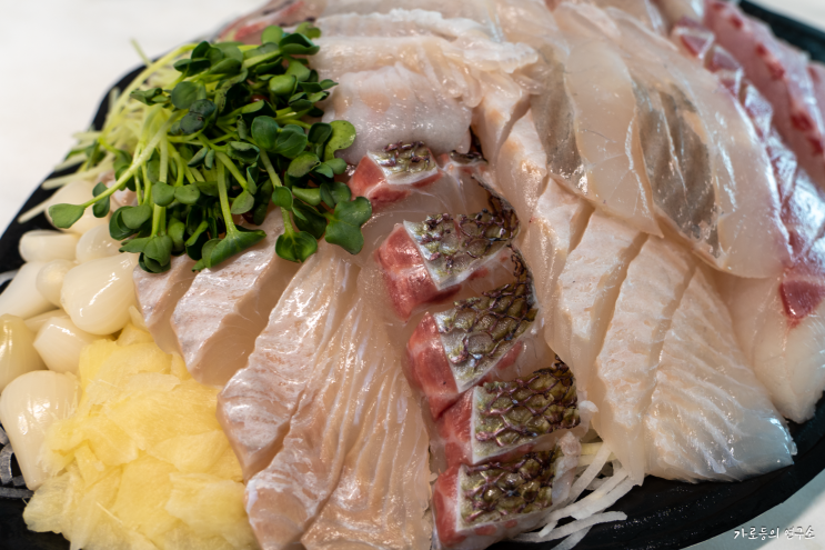  제철 회가 맛있는 대원수산 노량진수산시장 모듬회 후기