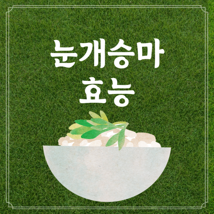 눈개승마 효능 나물 먹는법 부작용 알고 먹는 봄나물 눈개승마 효능 나물 먹는법 부작용 알고 먹는 봄나물