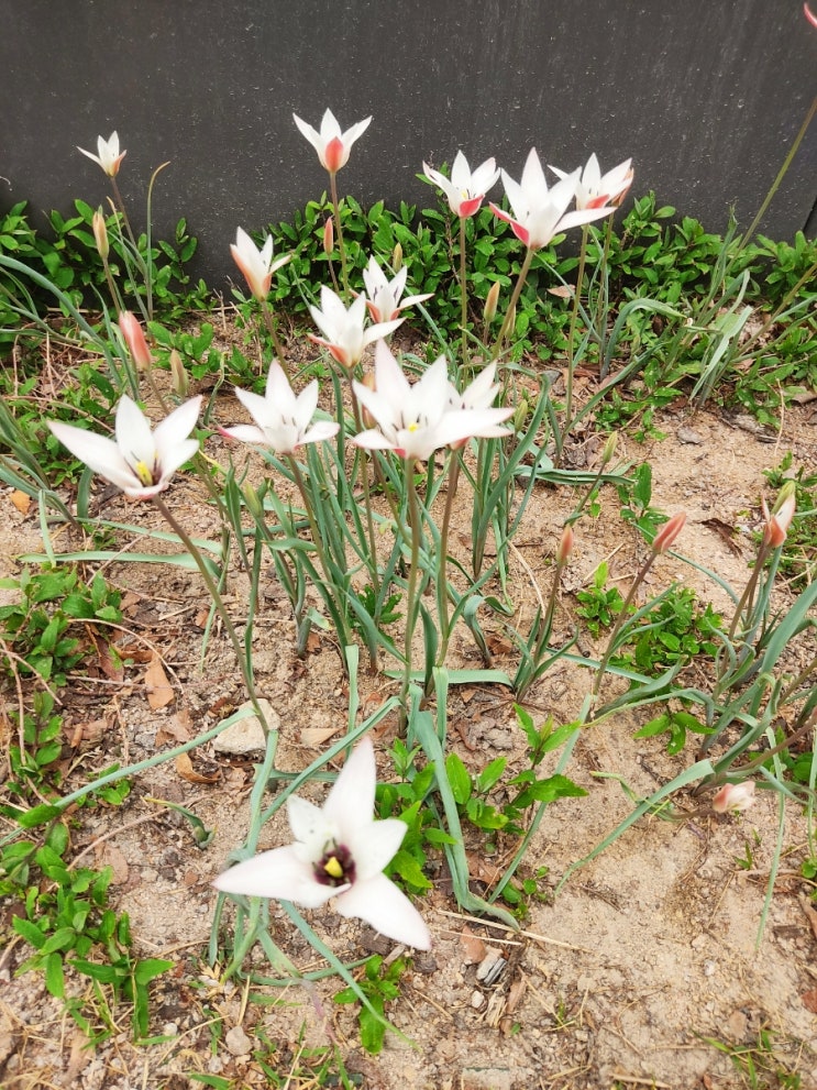  시청역 점심 산책길