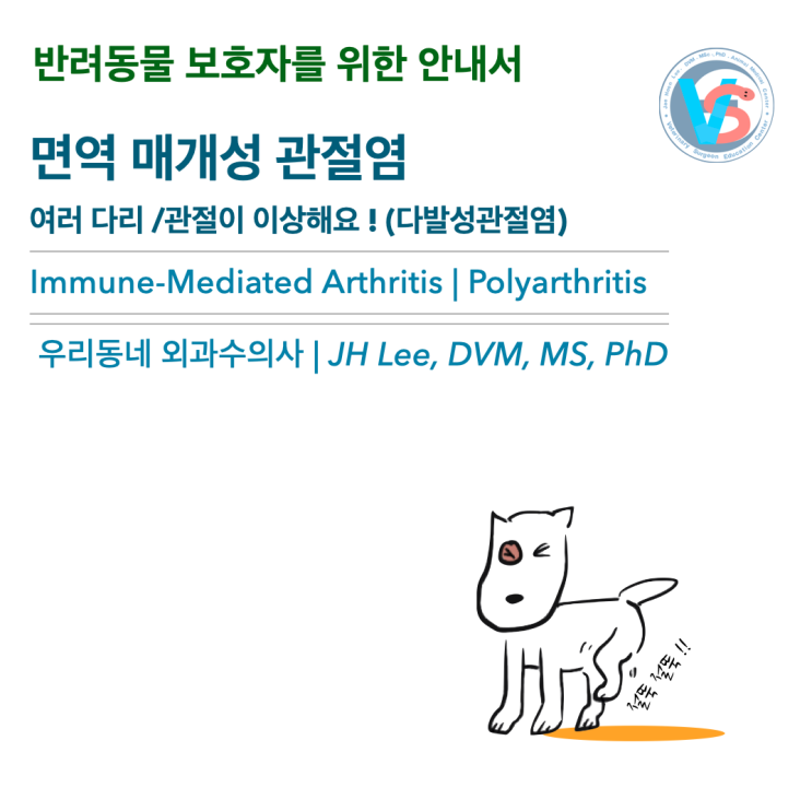  [동물병원안내서] 면역 매개성 관절염 (다발성관절염, Polyarthritis)여러 다리 /관절이 이상해요 ! (Immune-Mediated Arthritis)