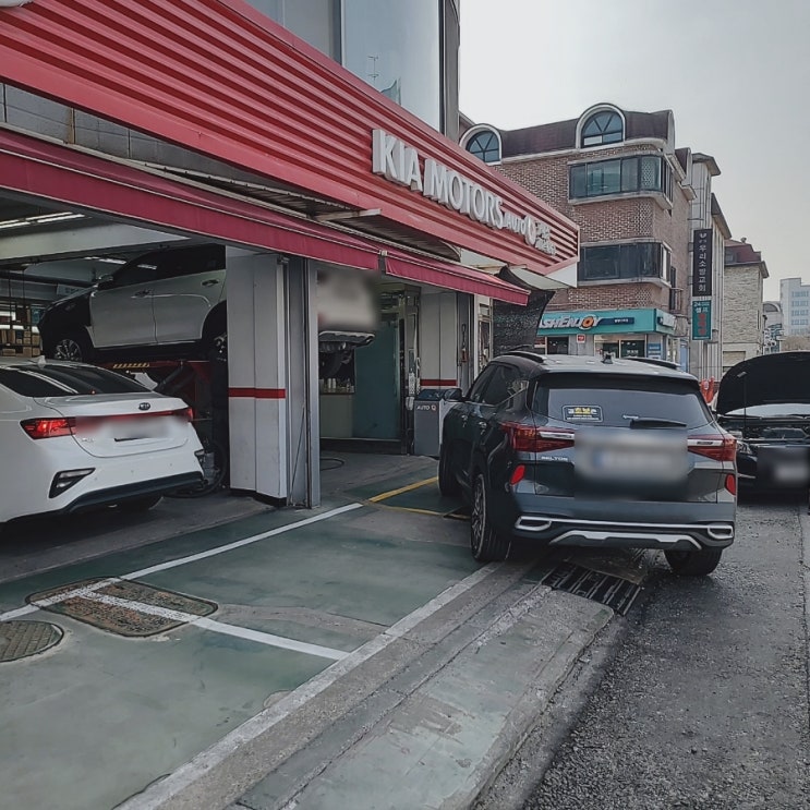  기아멤버스 기본점검 1년차 후기