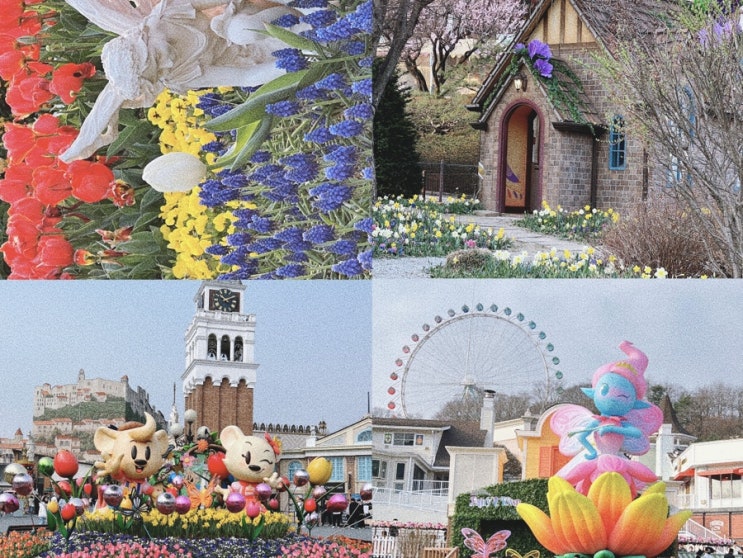  용인 에버랜드 튤립축제 페어리타운 / 티익스프레스 탑승 꿀팁
