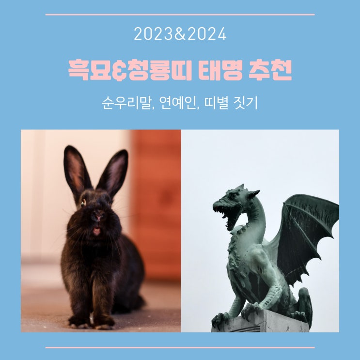 토끼띠&용띠 아기 태명 짓기와 추천(순우리말, 연예인, 띠별)