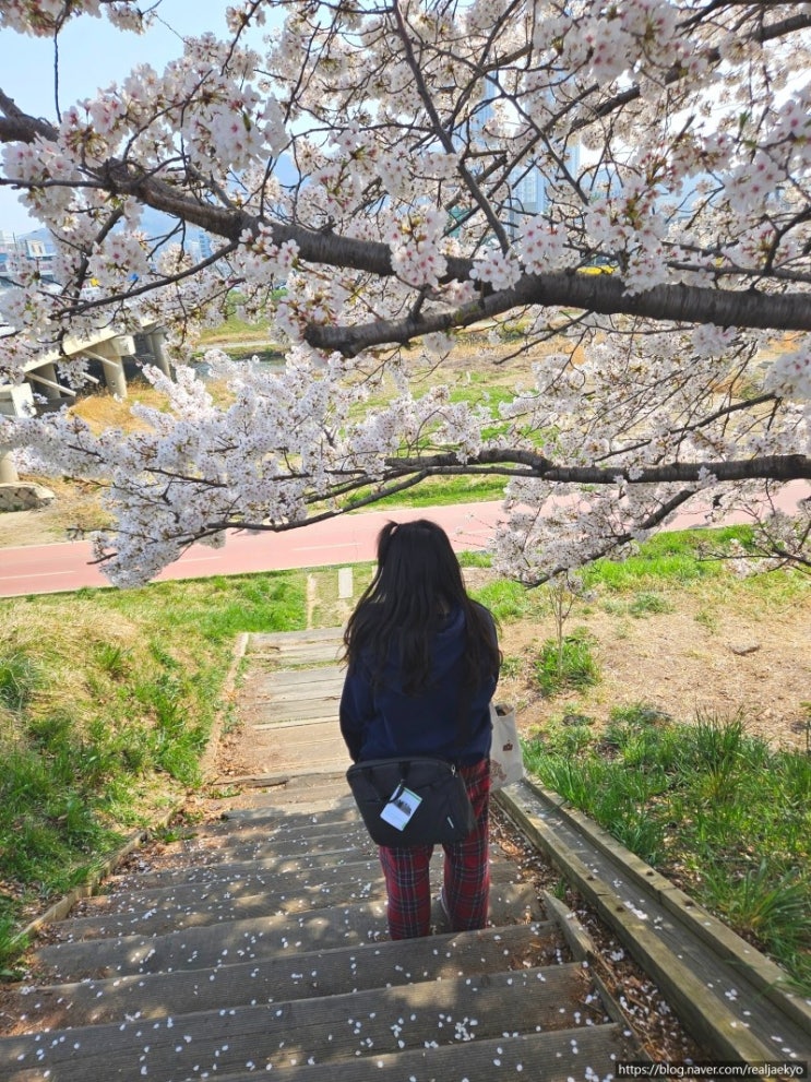  여행 인플루언서 선정 됐어요. 맞팬 해요!