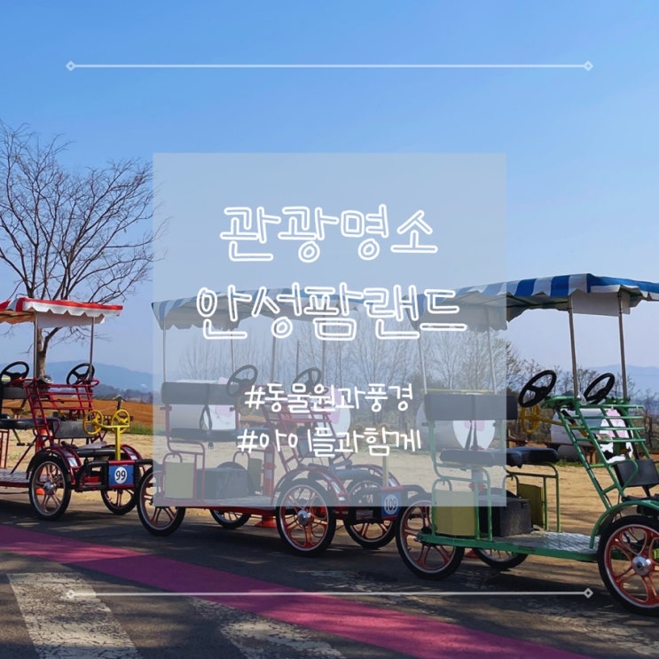  경기도 안성팜랜드 예약/할인 벚꽃길 호밀밭축제 봄나들이 여행 데이트코스