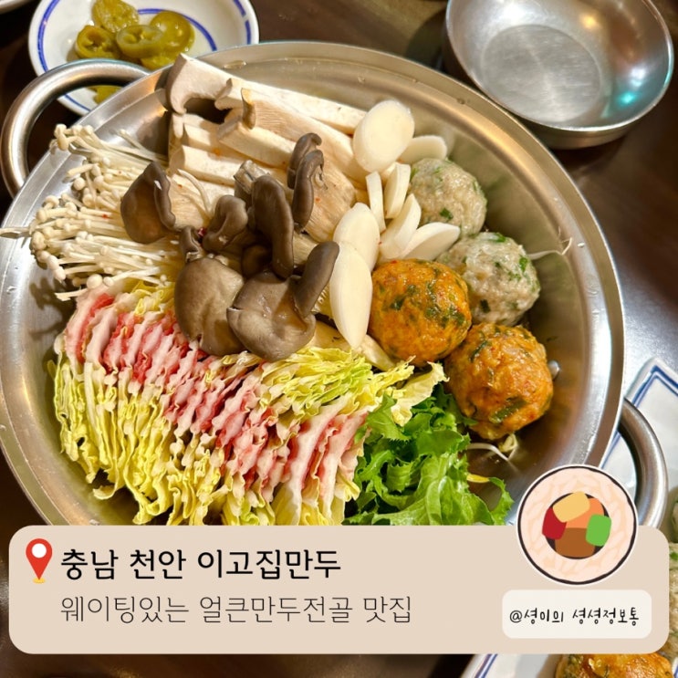  천안 만두전골 맛집 이고집만두 얼큰샤브만두전골 후기 밀푀유와 굴림만두가 들어간 만두전골 맛집