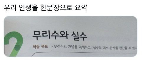  [230403] 주짓수 43회차