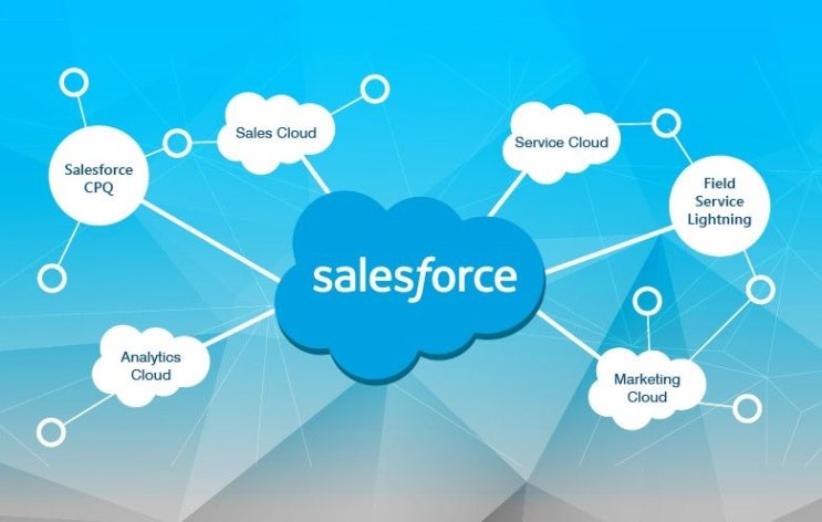세일스포스(salesforce) 입력규칙 제한으로 APEX테스트 에러 및 릴리스 불가 세일스포스(salesforce) 입력규칙 제한으로 APEX테스트 에러 및 릴리스 불가