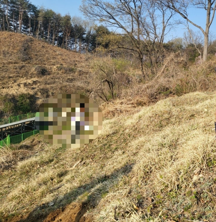  2023년 김천 부항면 가족묘지안치 김천고인돌장의사 #윤달 #윤달이장 #윤달화장 #김천윤달 #구미윤달 #상주윤달 #성주윤달 #선산윤달 #문경윤달 #영동윤달