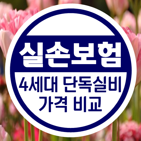  20대실손보험 추천 4세대 단독 가입 착한 실비보험견적 가격 비교 해보세요.