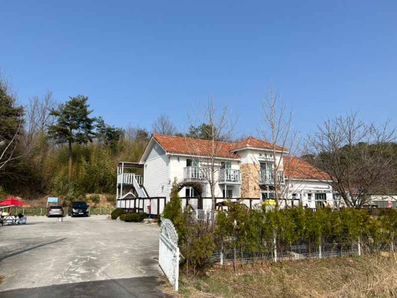 사진 5