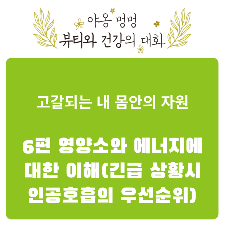  고갈되는 내 몸 안의 자원: 6편 영양소와 에너지에 대한 이해(긴급 상황 시 인공호흡의 우선순위)
