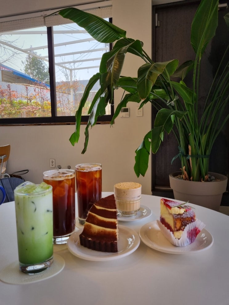  최애 케이크집_케이크맛집_익산 케키/keki