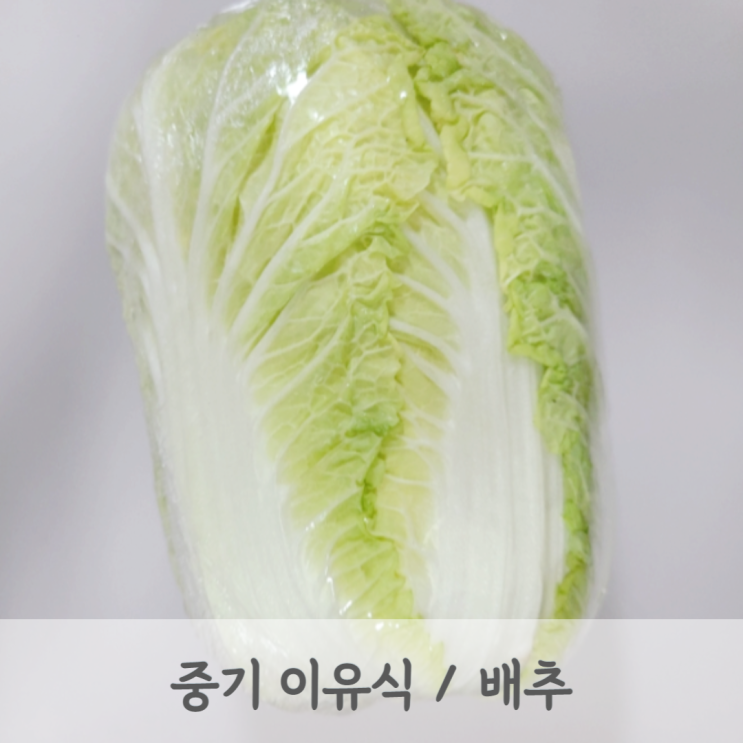 [중기이유식] 배추 토핑 이유식 (배추큐브, 배추토핑, 베이비무브)