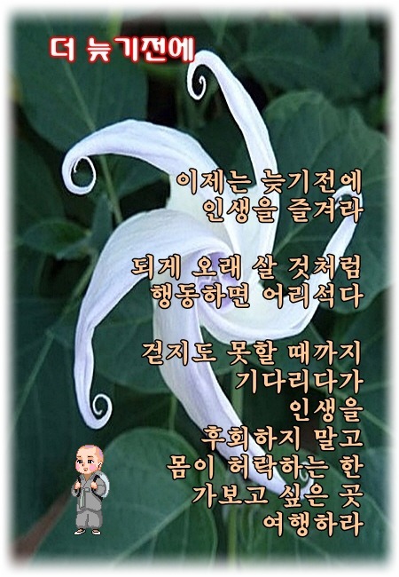 '<b>밤안개</b>'·'몽땅 내 사랑' 가수 <b>현미</b> 별세…향년 85세