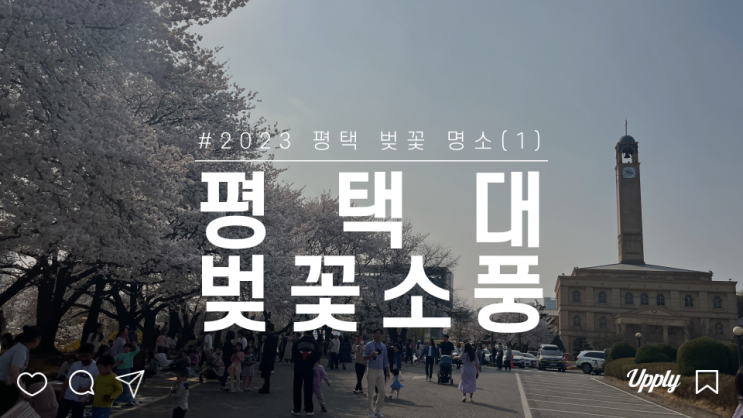  평택대학교 벚꽃축제 명소 즐기기 점등기간 및 푸드트럭 이용안내