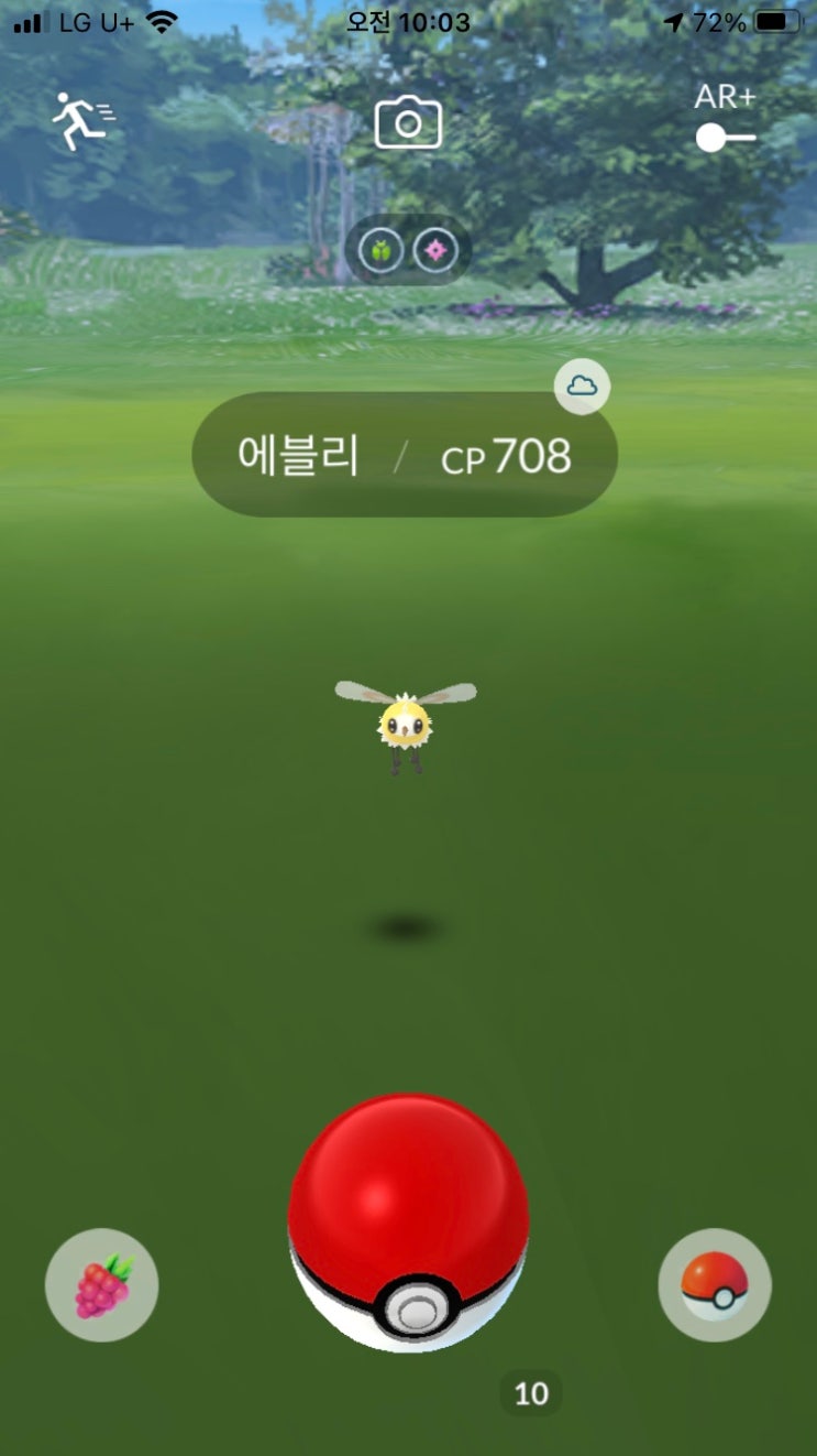  포켓몬고 에블리 첫 등장!