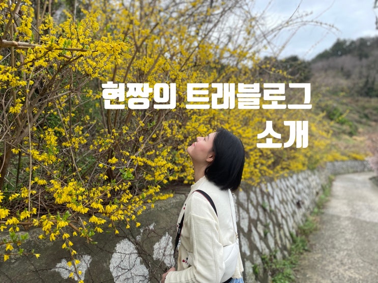  현짱 소개 / 현짱의 트래블로그 여행블로거 겸 국내여행가이드