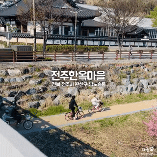  전주한옥마을 무료주차장 2곳, 자전거대여소, 벚꽃 등 현황