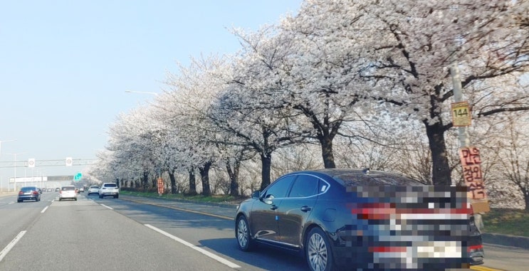 출근길 자유로 <나만 정신없이 사는게 아니었구나>