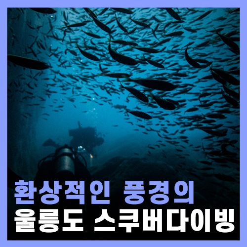  울릉도 여행 및 스쿠버다이빙, 현포 다이브