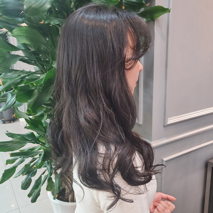  수유레이어드펌/수유레이어드컷/수유역레이어드펌/수유역레이어드컷/수유동레이어드컷/수유동레이어드펌/수유아이헤어/아이헤어/sc펌/빌드펌/성원점장
