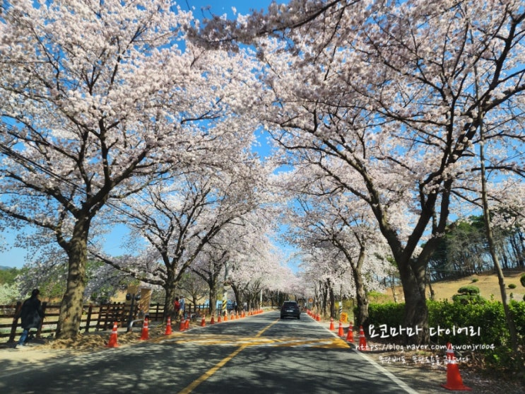  감사일기 230405