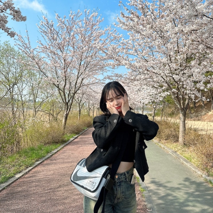  강릉 벚꽃명소, 주문진 향호 벚꽃 산책로 기록 (+솔올 블라썸 벚꽃축제)