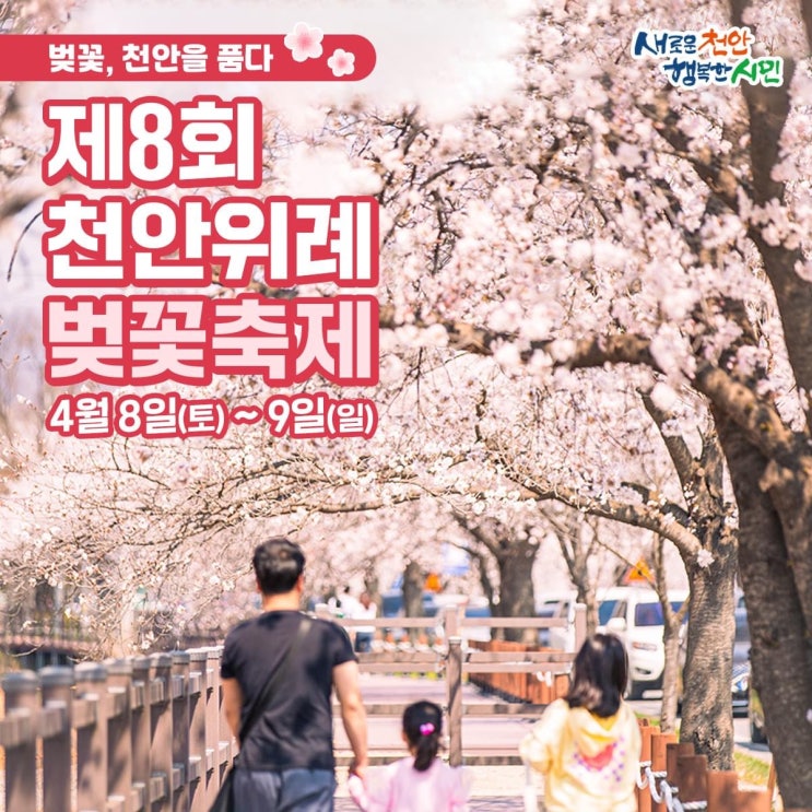 천안 가볼만한곳 제8회 천안위례벚꽃축제 | 천안시청페이스북