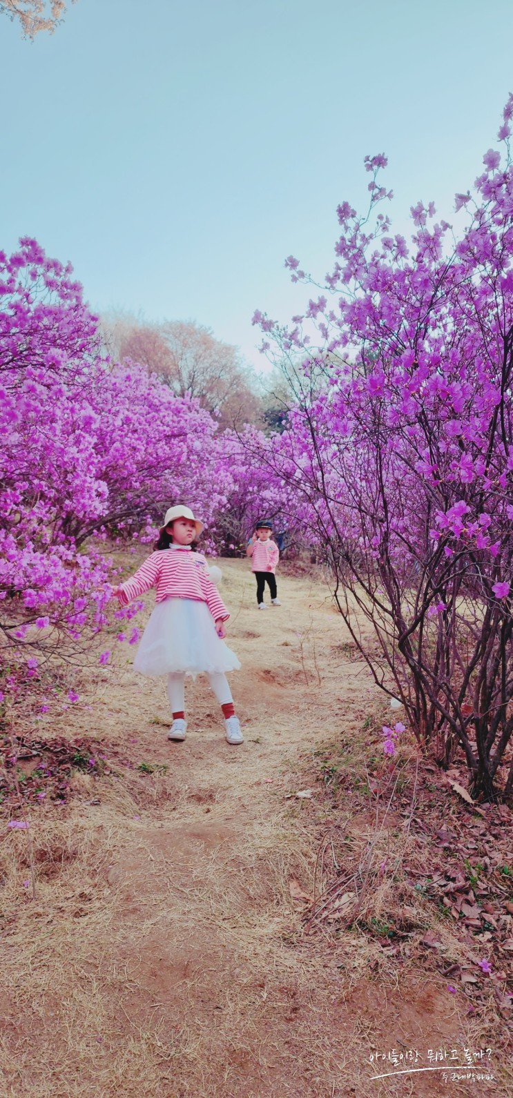 부천 아이와 가볼만한 곳 원미산 진달래동산 축제와 주차 벚꽃명소