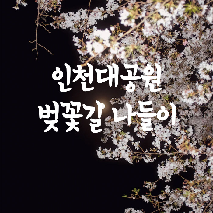 인천대공원 벚꽃축제 D-4 벚꽃 로드 다녀왔어요 김연자 공연 행사 정보 편의점 조각공원 맛집